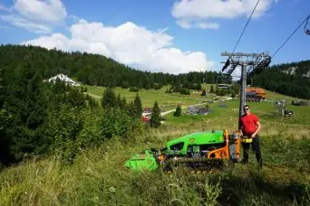 čistenie pozemkov a odstránenie náletových drevín