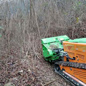 green_climber_odstranovanie_drevin