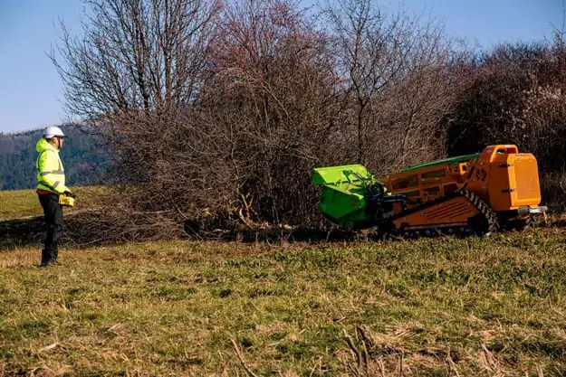 greenliclimber čistenie pozemkov