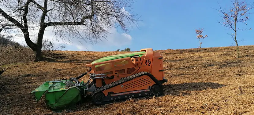 Ako si Green Climber poradil s chráneným vtáčím územím