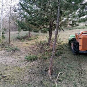 Green Climber na Červenej hore