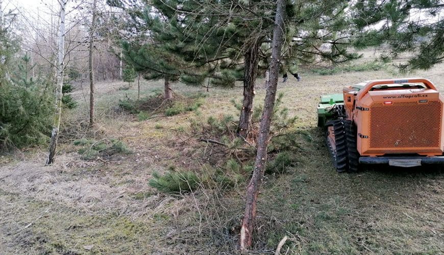 Green Climber na Červenej hore