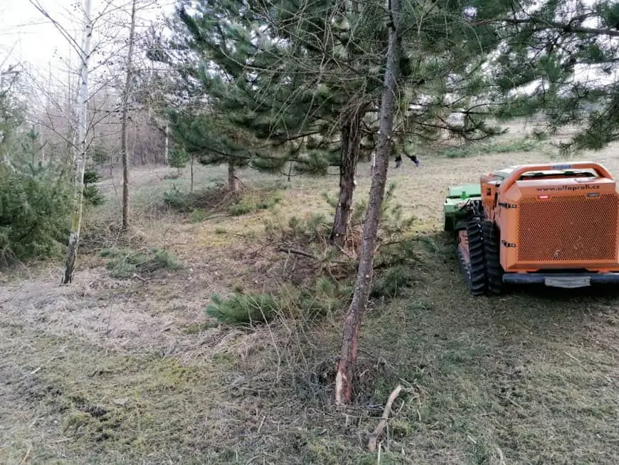 greenclimber pohľad zozadu cistenie pozemkov