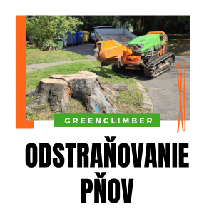 Odstraňovanie - frézovanie pňov