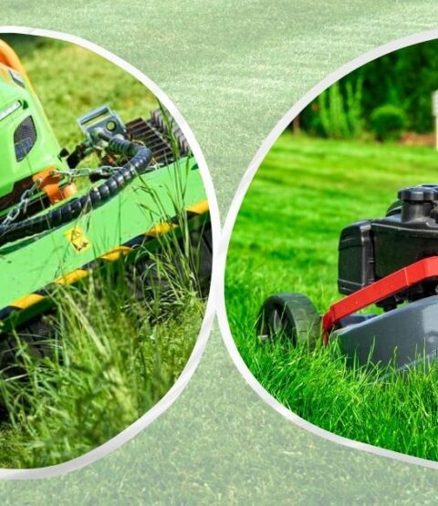 greenclimber_mulcovanie_vs_kosenie